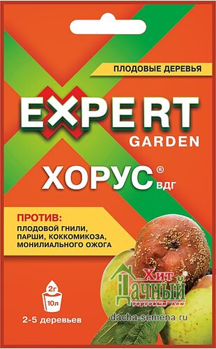   2 (Expert Garden)
