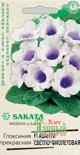   - F1  "sakata" 5. ()