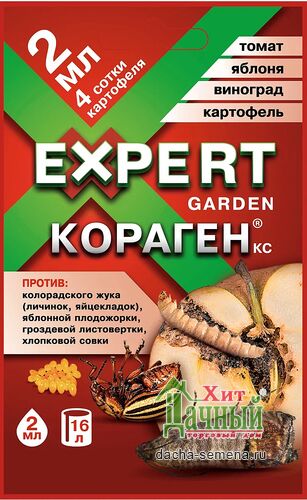    2 (Expert Garden)