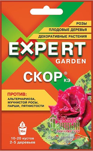   2 (Expert Garden)