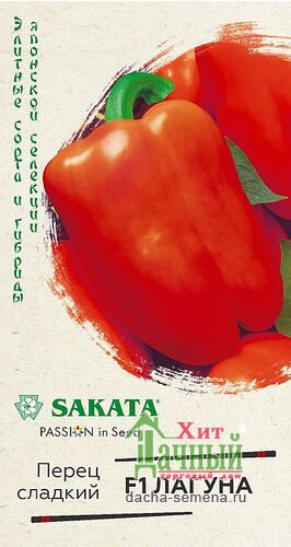   F1 ,  "sakata" 5. ()